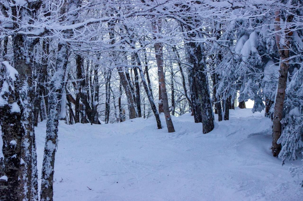 Cambridge Smugglers' Notch Resort Private Suites מראה חיצוני תמונה
