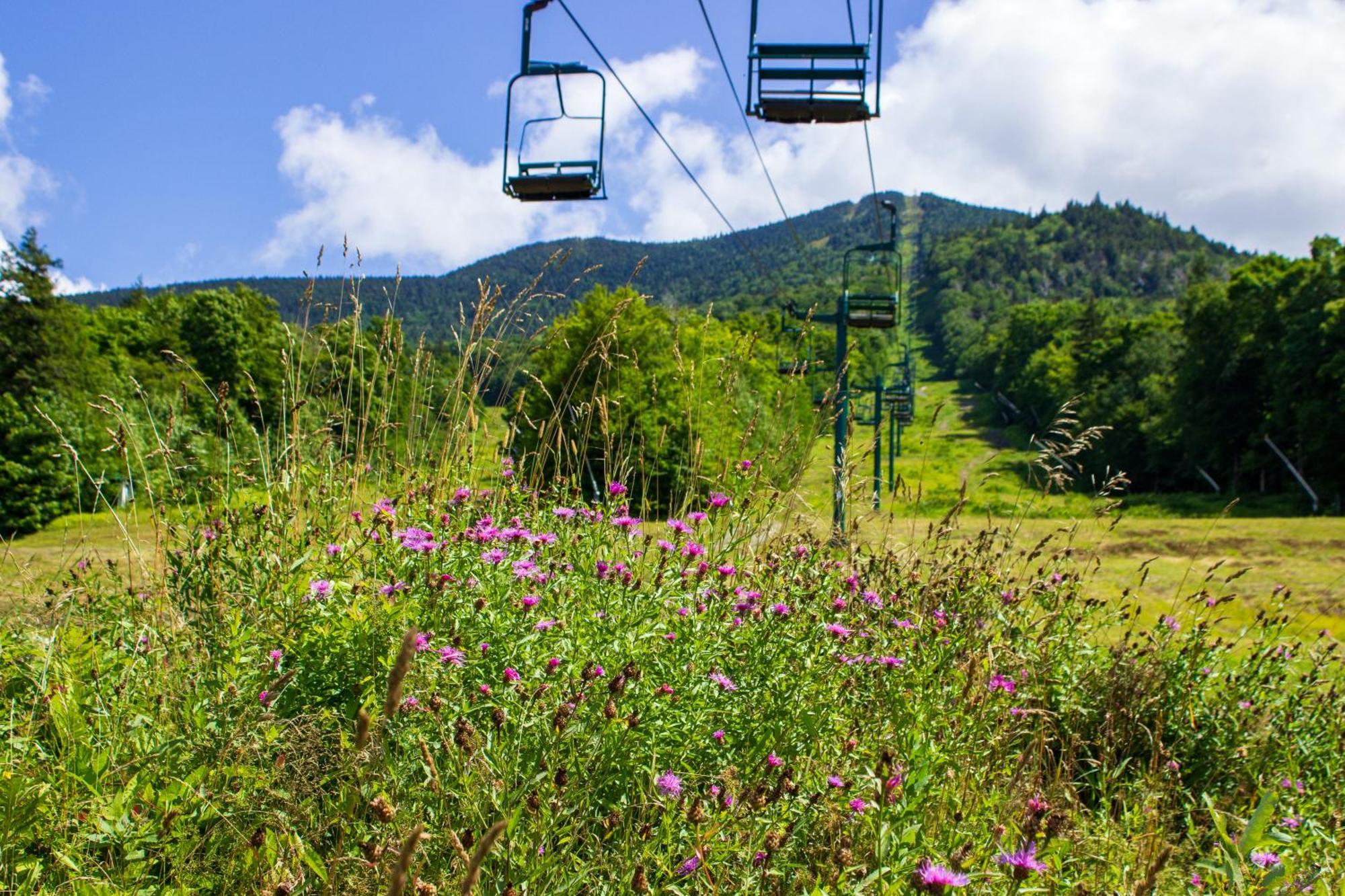 Cambridge Smugglers' Notch Resort Private Suites מראה חיצוני תמונה